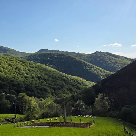 Casa Rural Urruska Elizondo Bagian luar foto