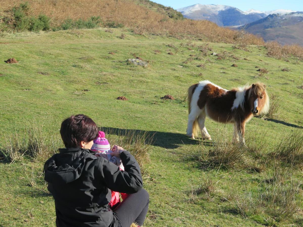 Casa Rural Urruska Elizondo Bagian luar foto