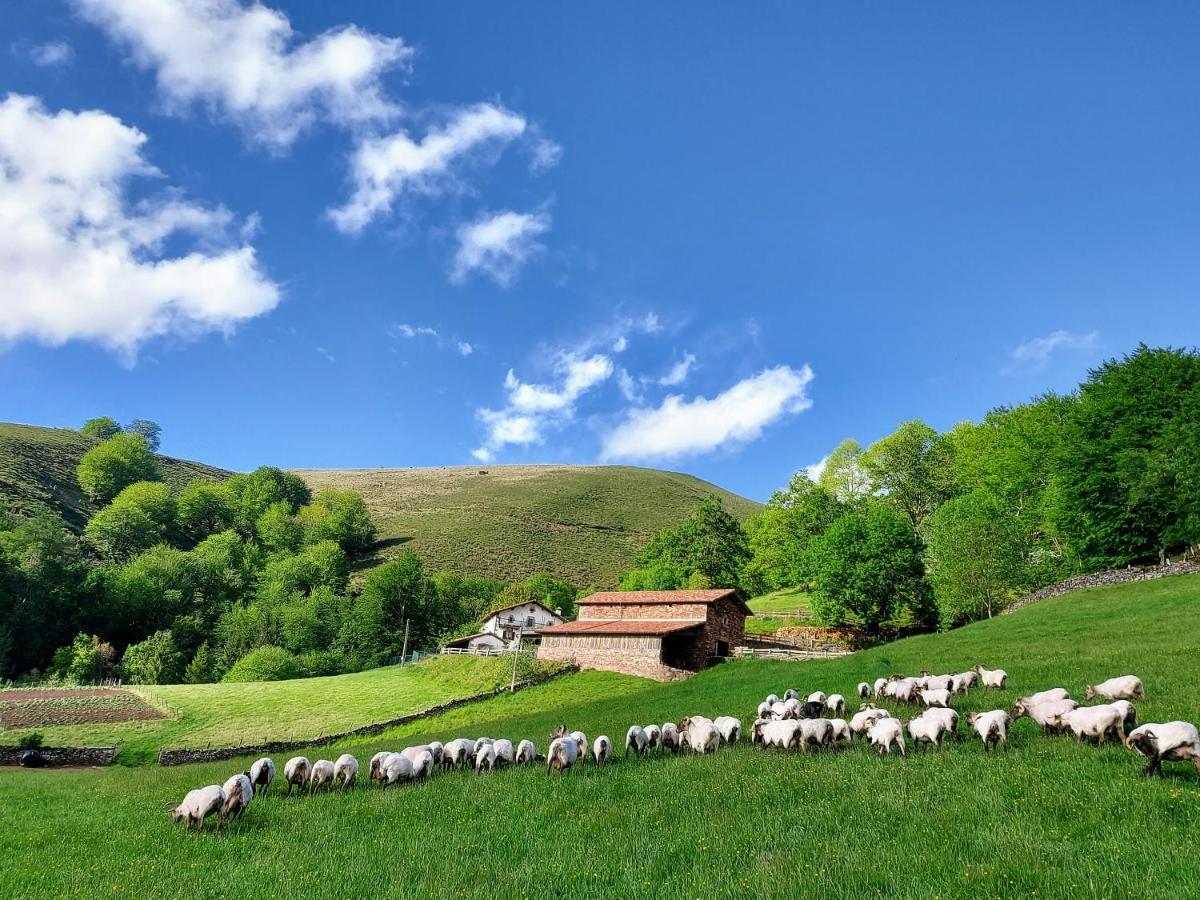 Casa Rural Urruska Elizondo Bagian luar foto