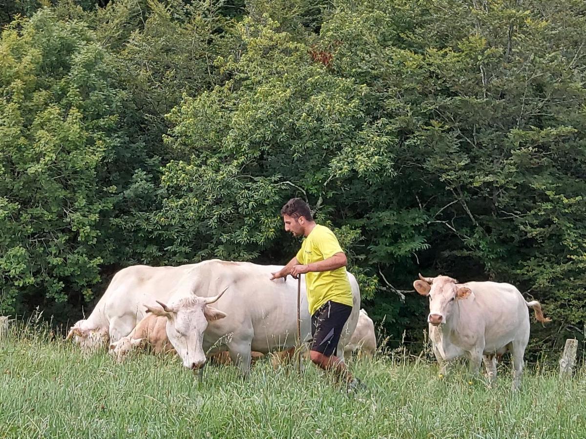 Casa Rural Urruska Elizondo Bagian luar foto