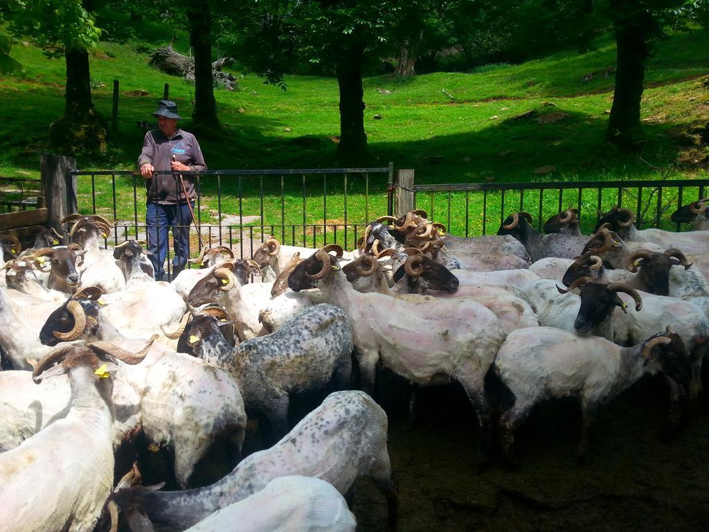 Casa Rural Urruska Elizondo Bagian luar foto