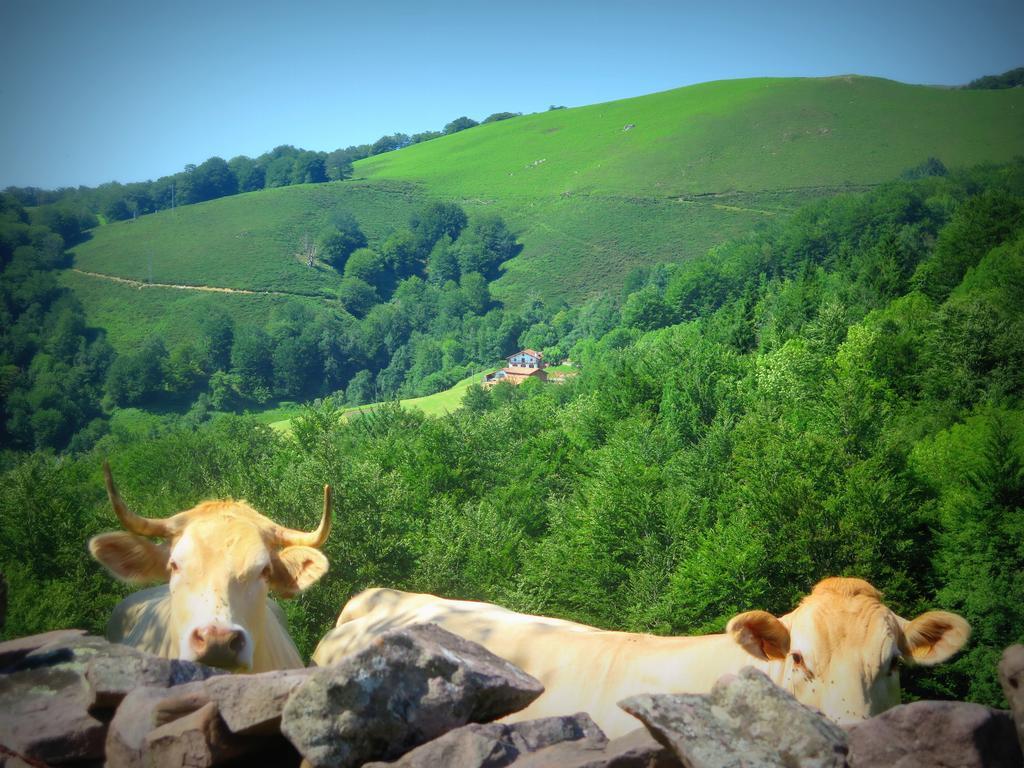 Casa Rural Urruska Elizondo Bagian luar foto