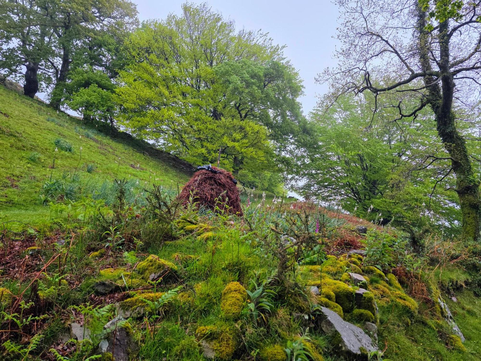 Casa Rural Urruska Elizondo Bagian luar foto