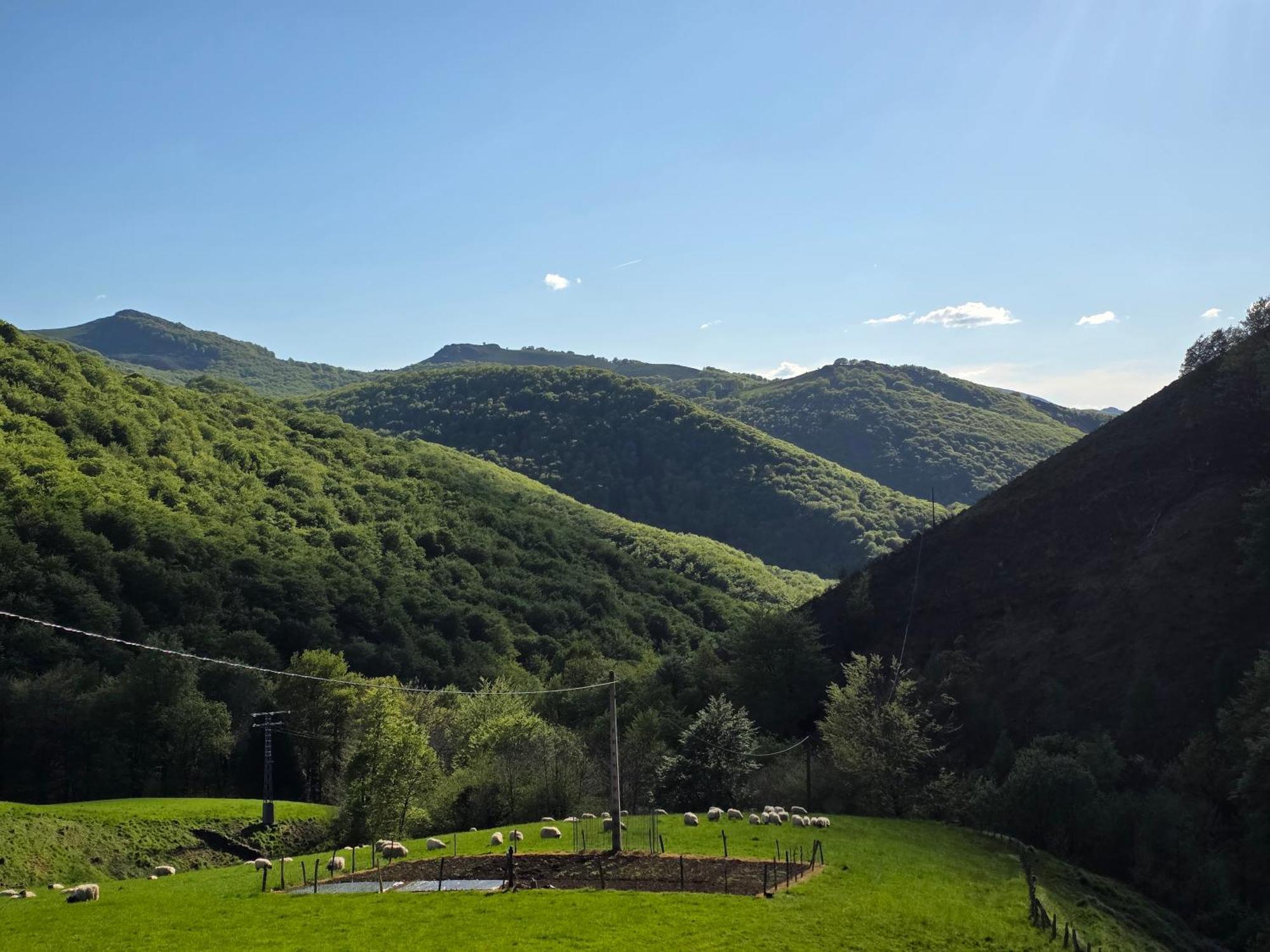 Casa Rural Urruska Elizondo Bagian luar foto
