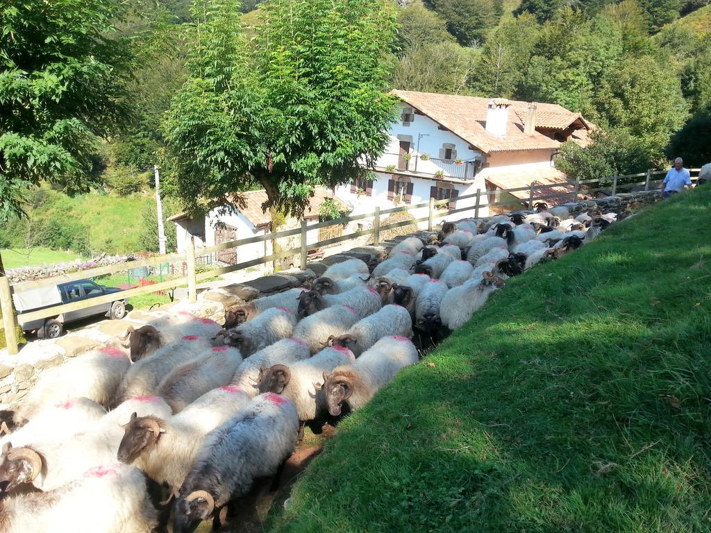 Casa Rural Urruska Elizondo Bagian luar foto