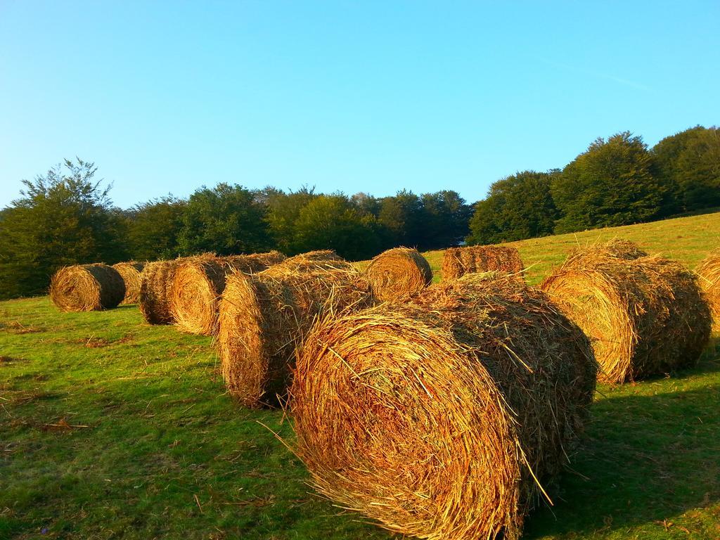 Casa Rural Urruska Elizondo Bagian luar foto