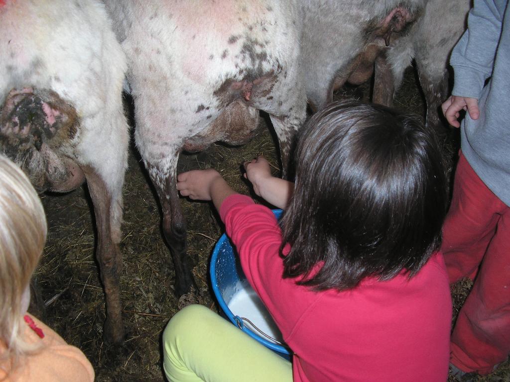 Casa Rural Urruska Elizondo Bagian luar foto