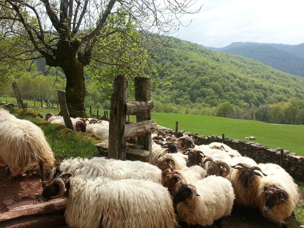 Casa Rural Urruska Elizondo Bagian luar foto