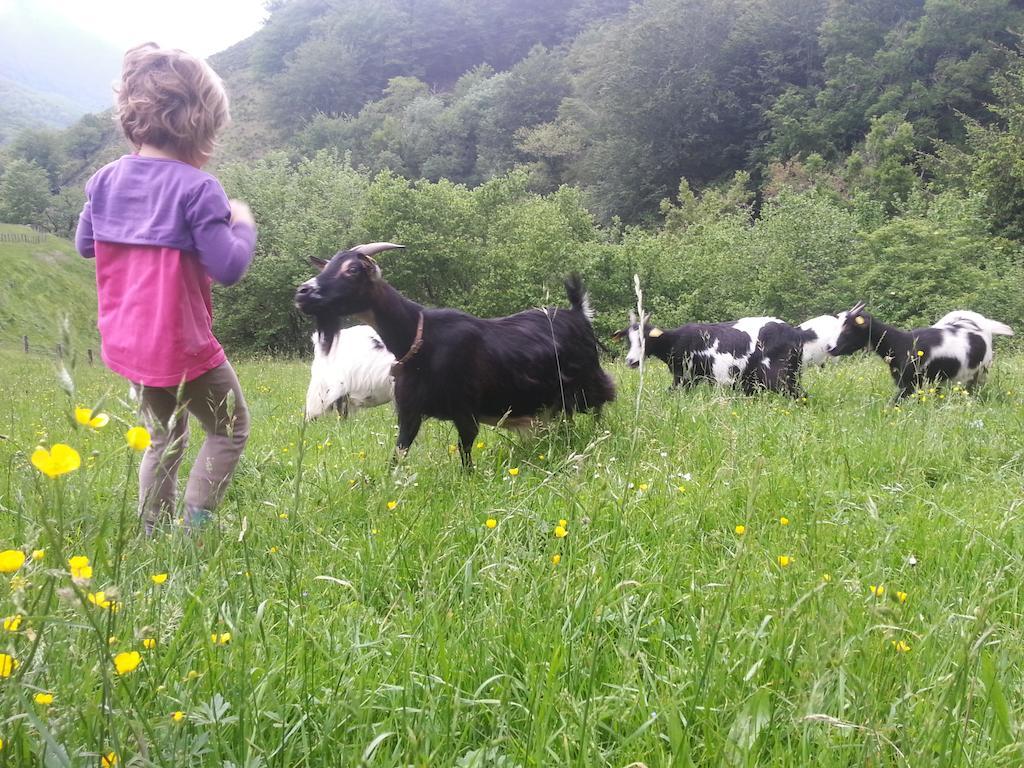 Casa Rural Urruska Elizondo Bagian luar foto