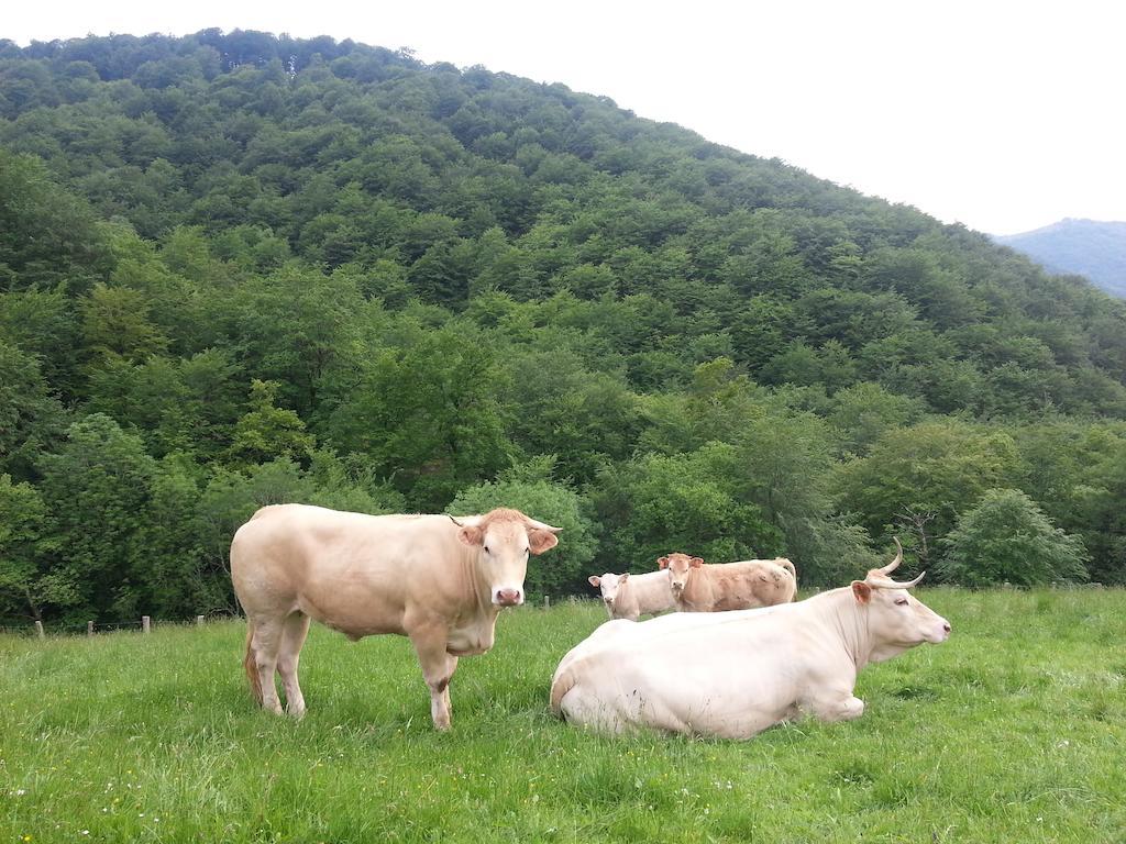 Casa Rural Urruska Elizondo Bagian luar foto