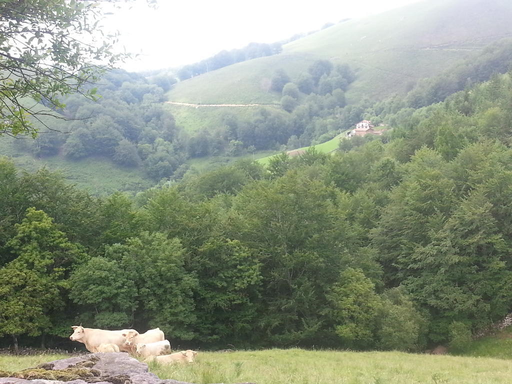 Casa Rural Urruska Elizondo Bagian luar foto