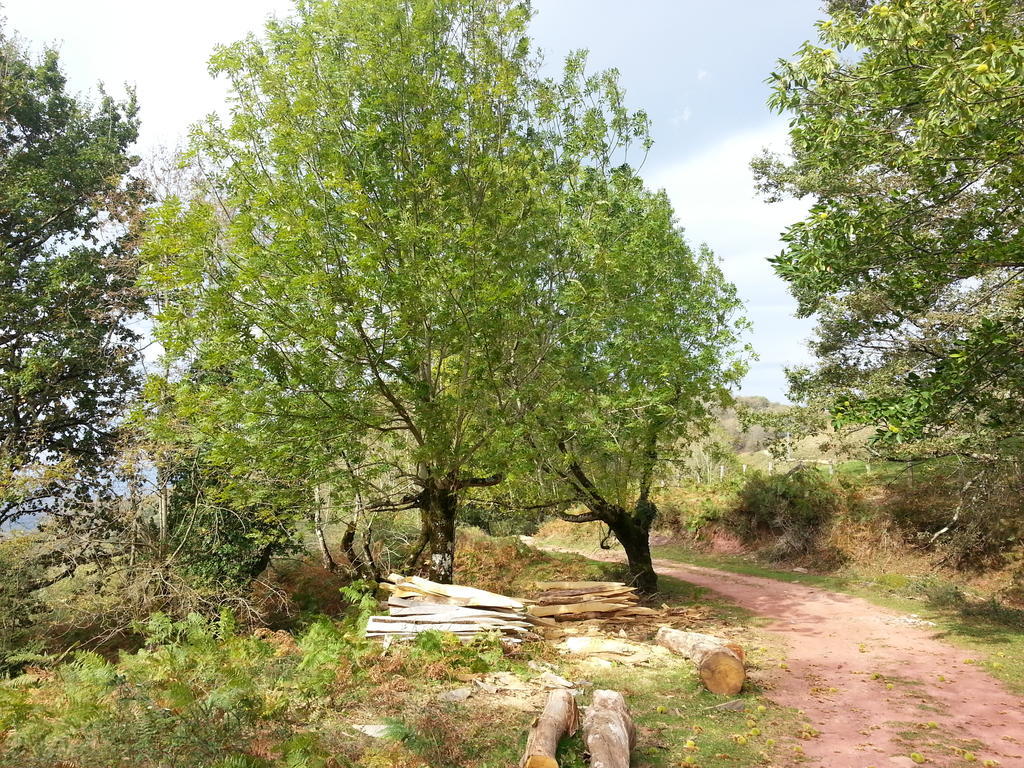 Casa Rural Urruska Elizondo Bagian luar foto
