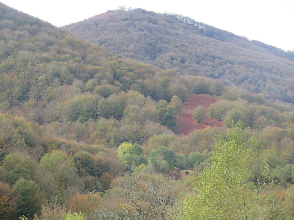 Casa Rural Urruska Elizondo Bagian luar foto