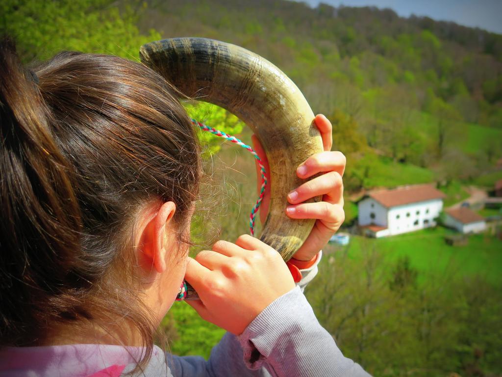 Casa Rural Urruska Elizondo Bagian luar foto