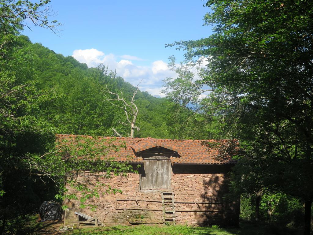 Casa Rural Urruska Elizondo Bagian luar foto